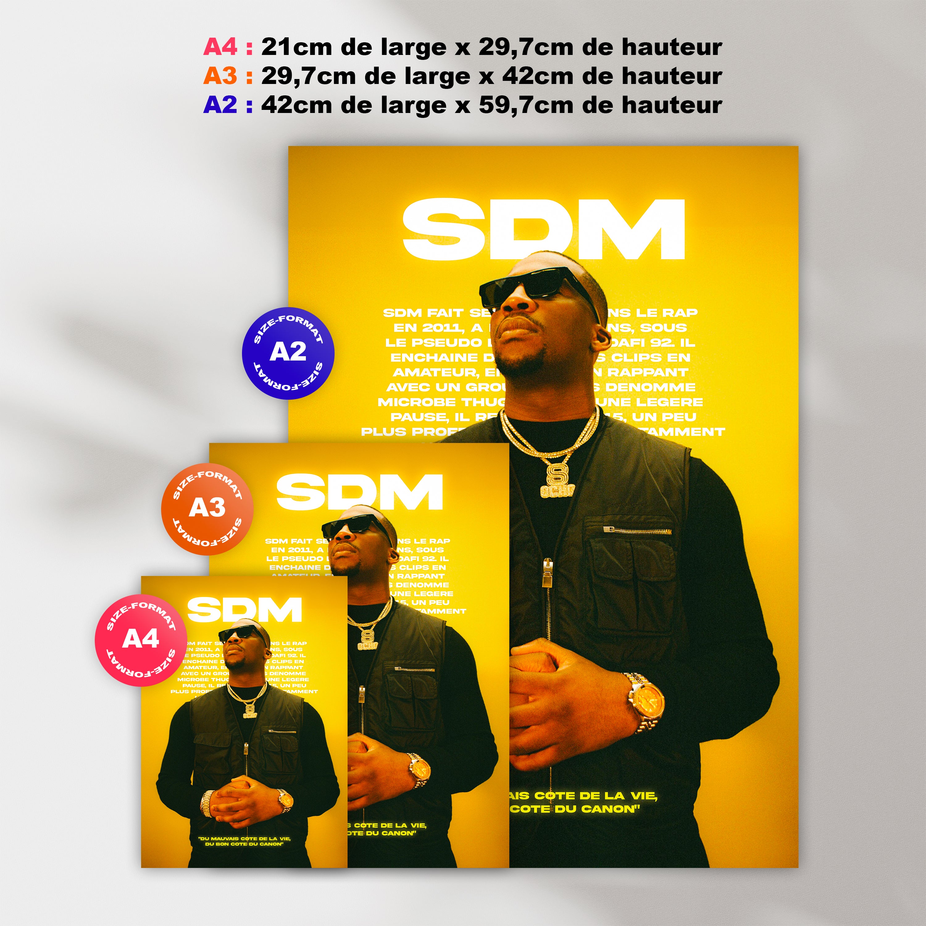 SDM poster