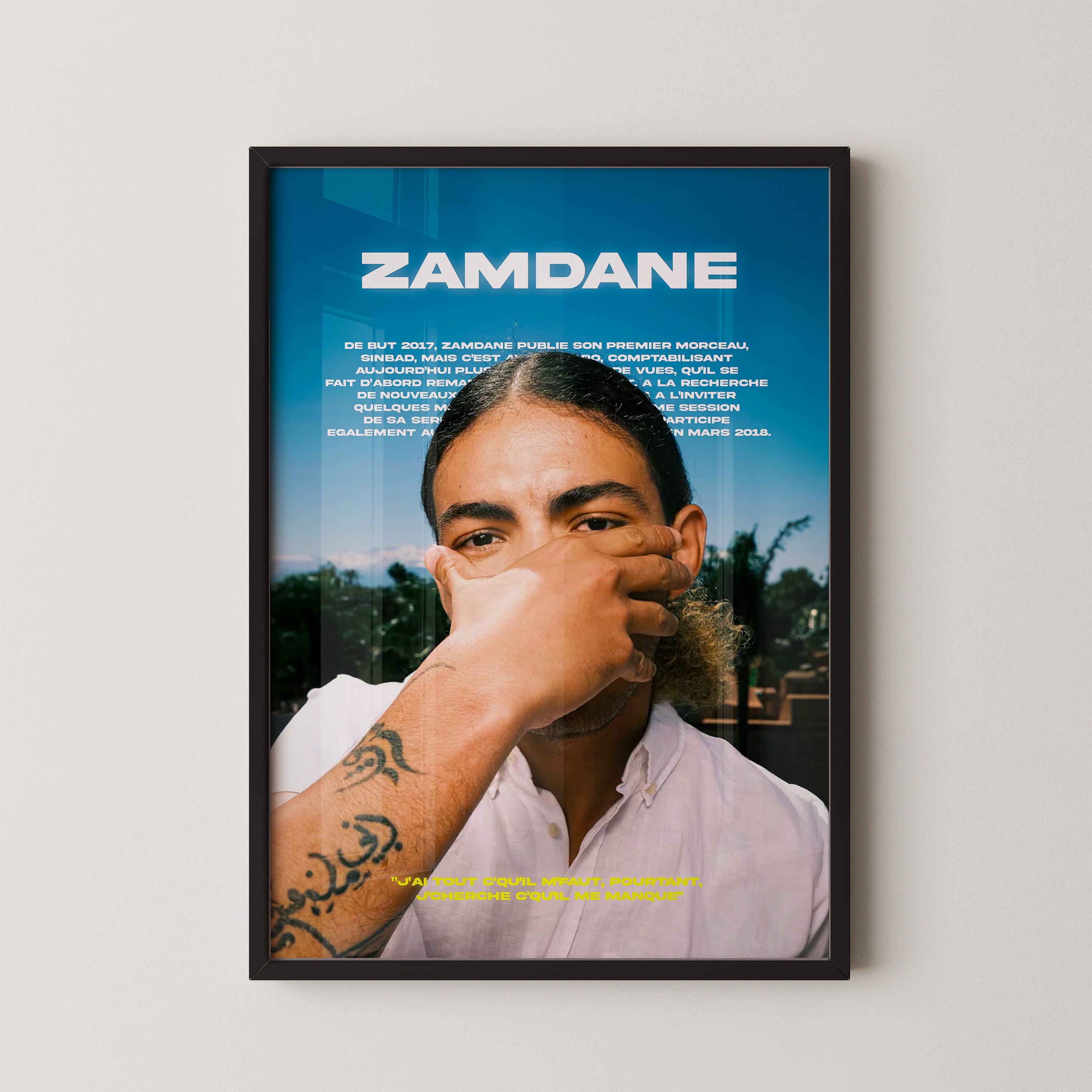 Poster Zamdane