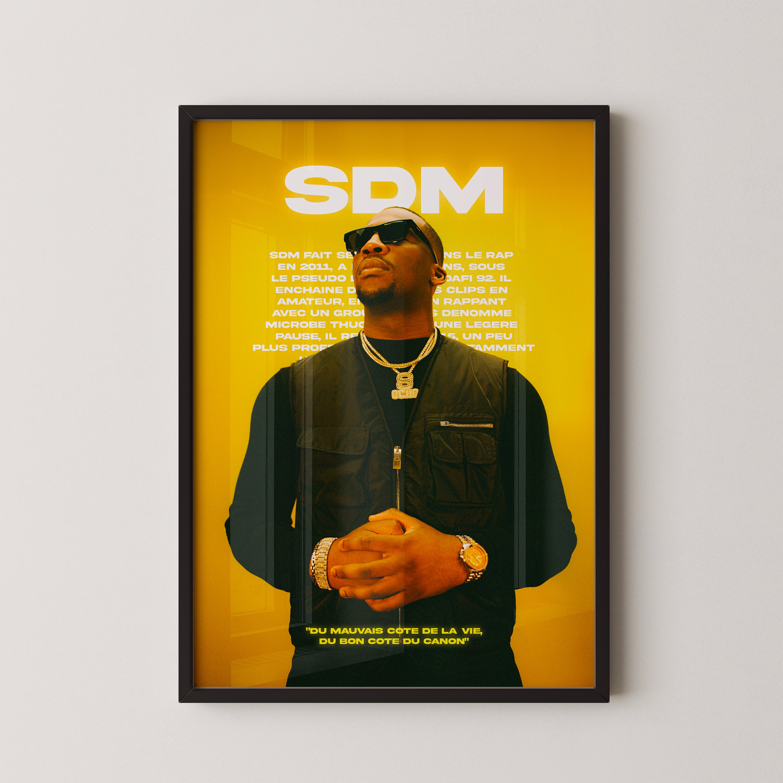 SDM poster