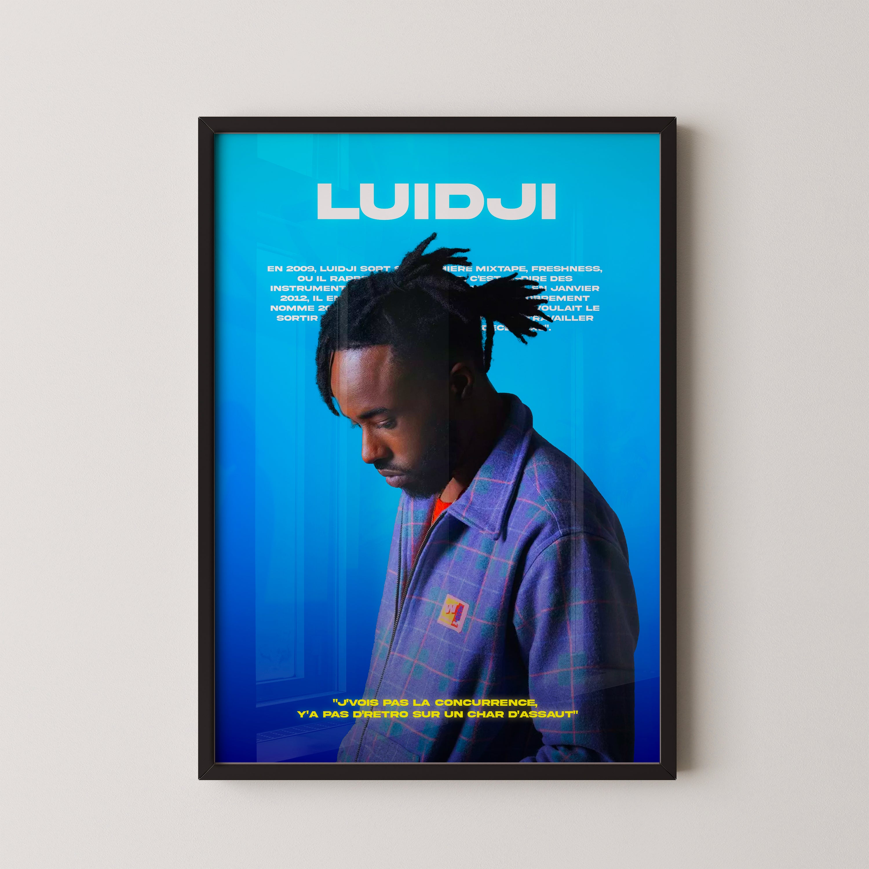 Poster Luidji