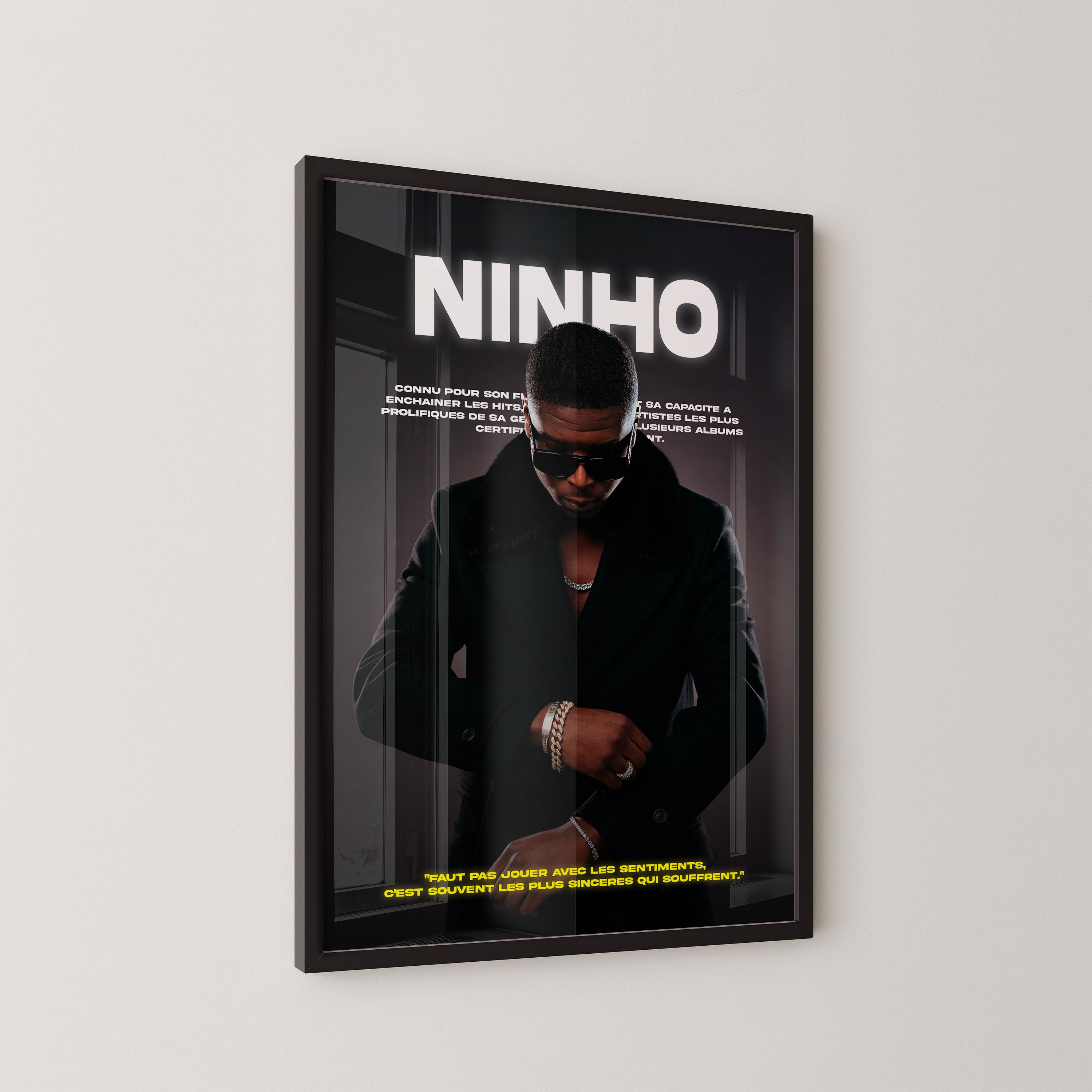 Poster Ninho