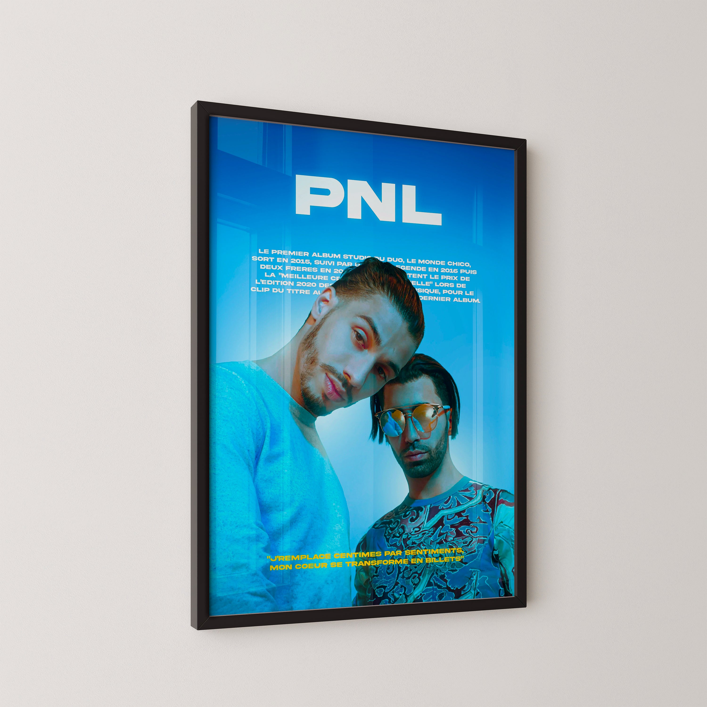 PNL poster