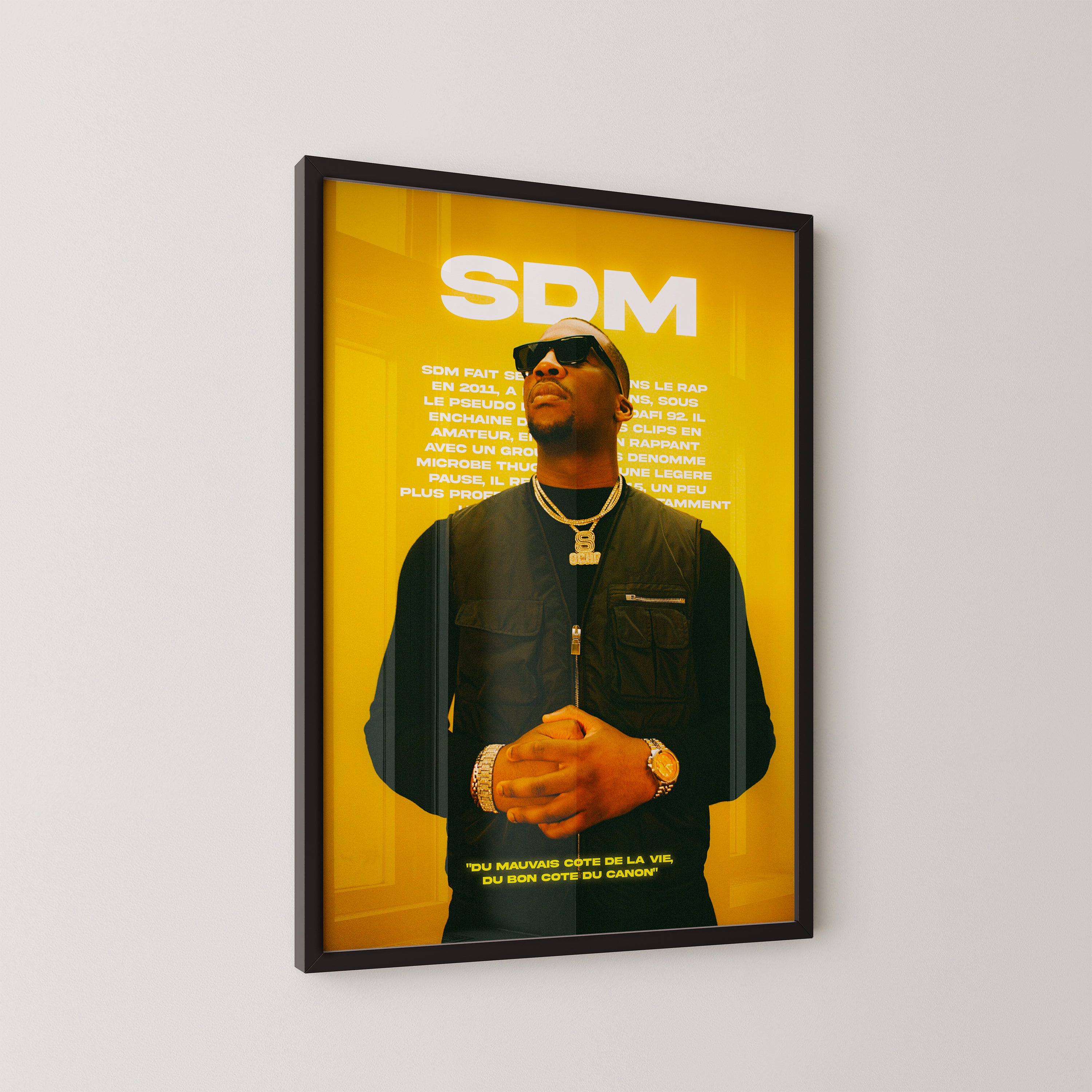 SDM poster