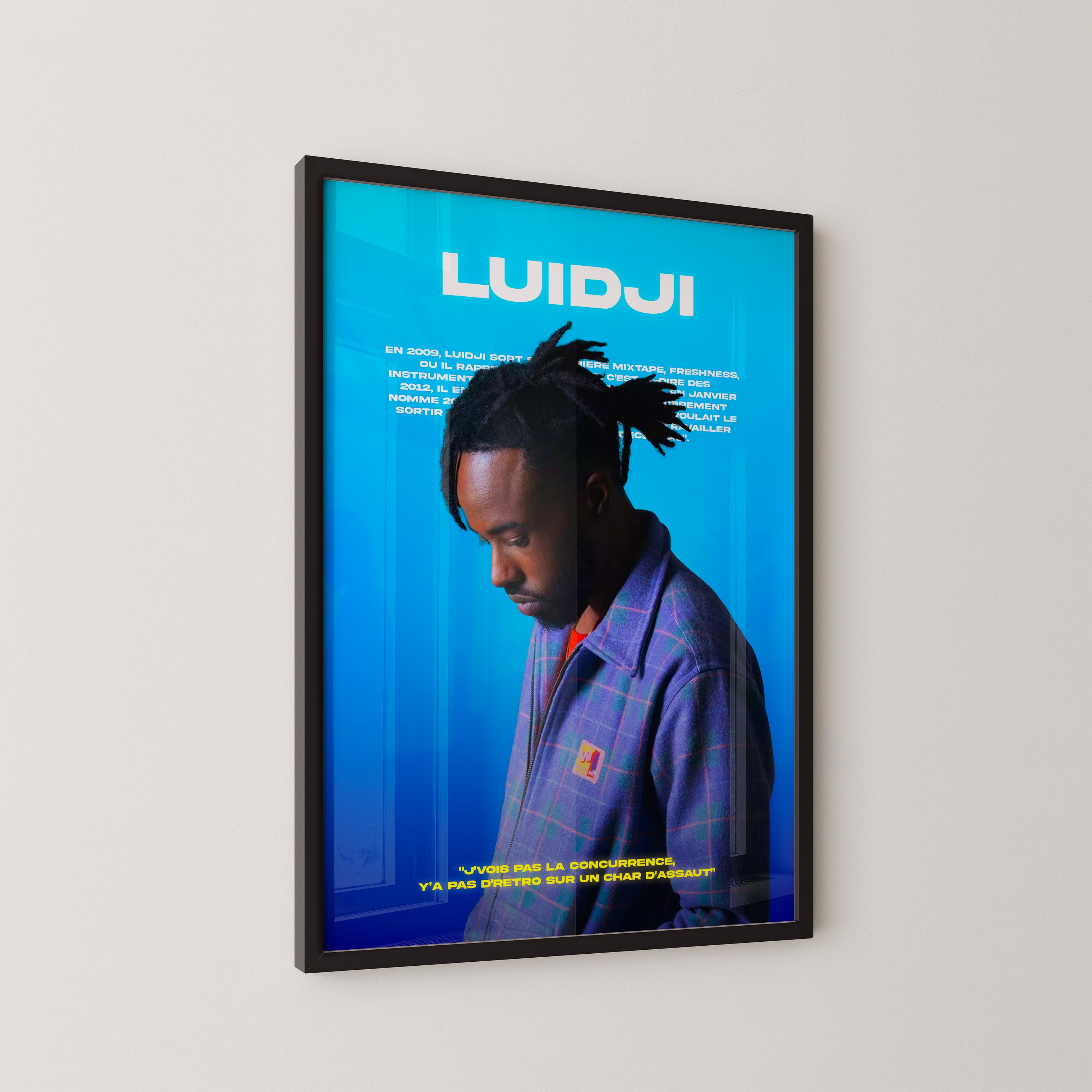 Poster Luidji