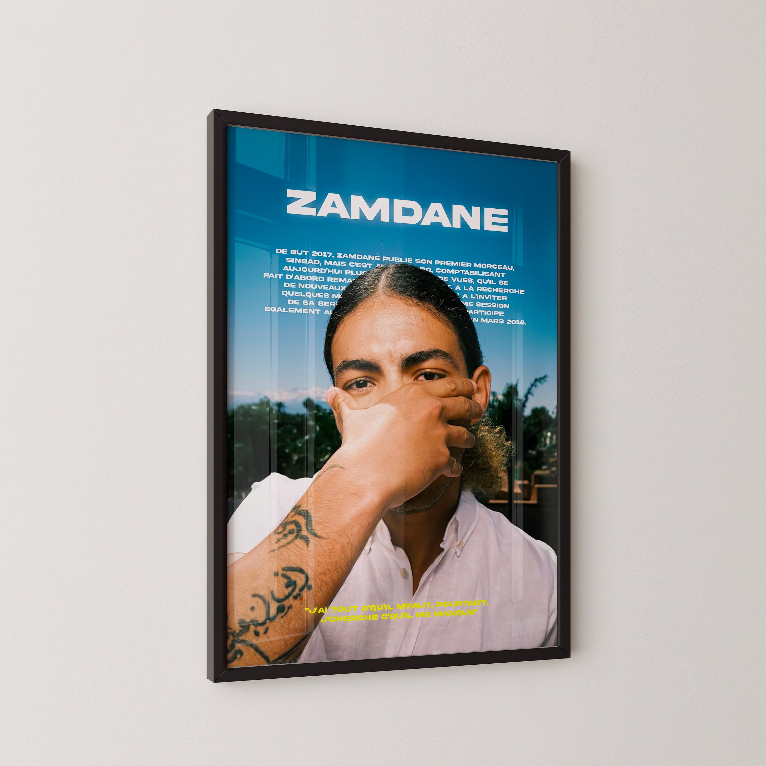 Poster Zamdane