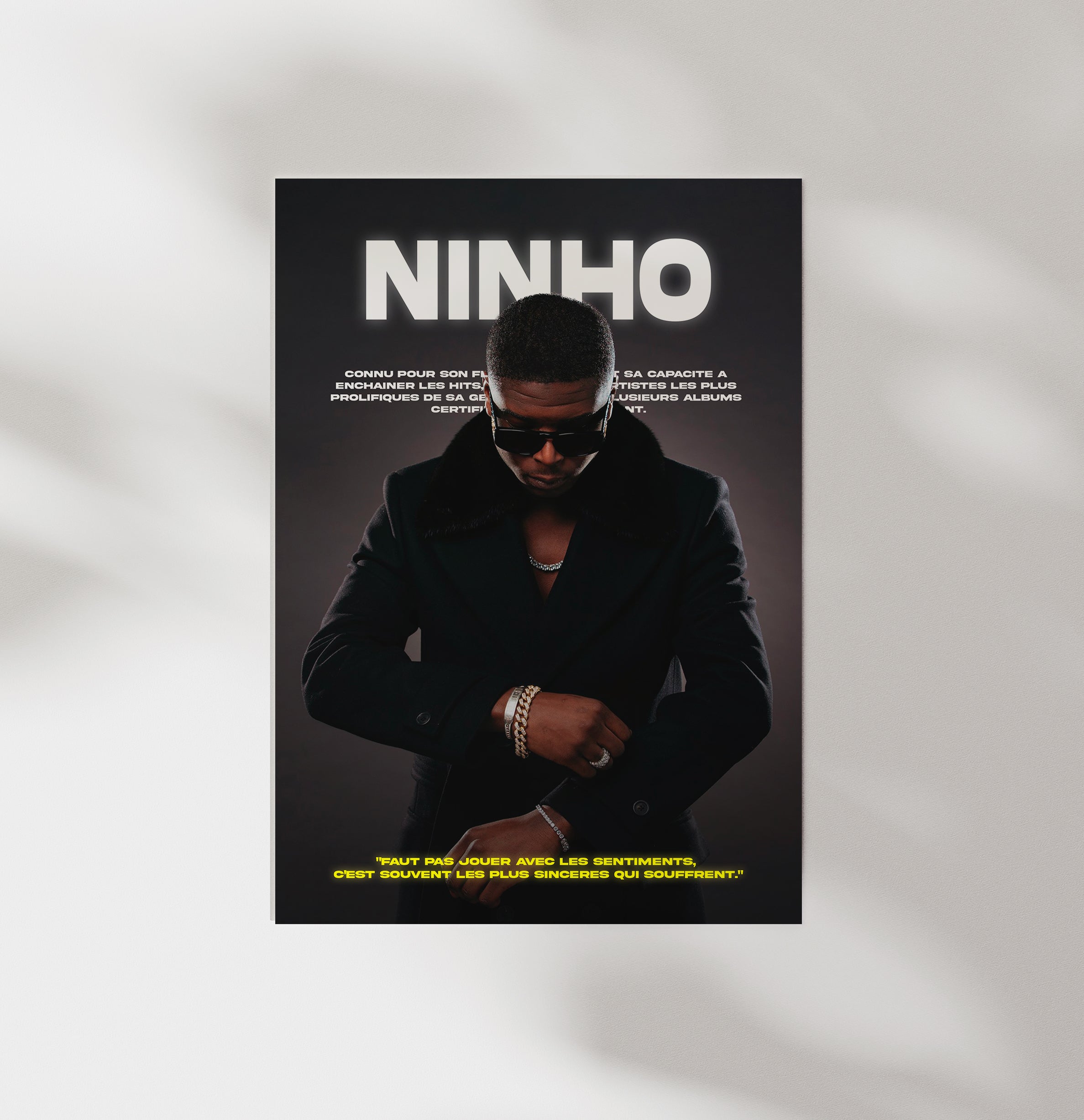 Poster Ninho