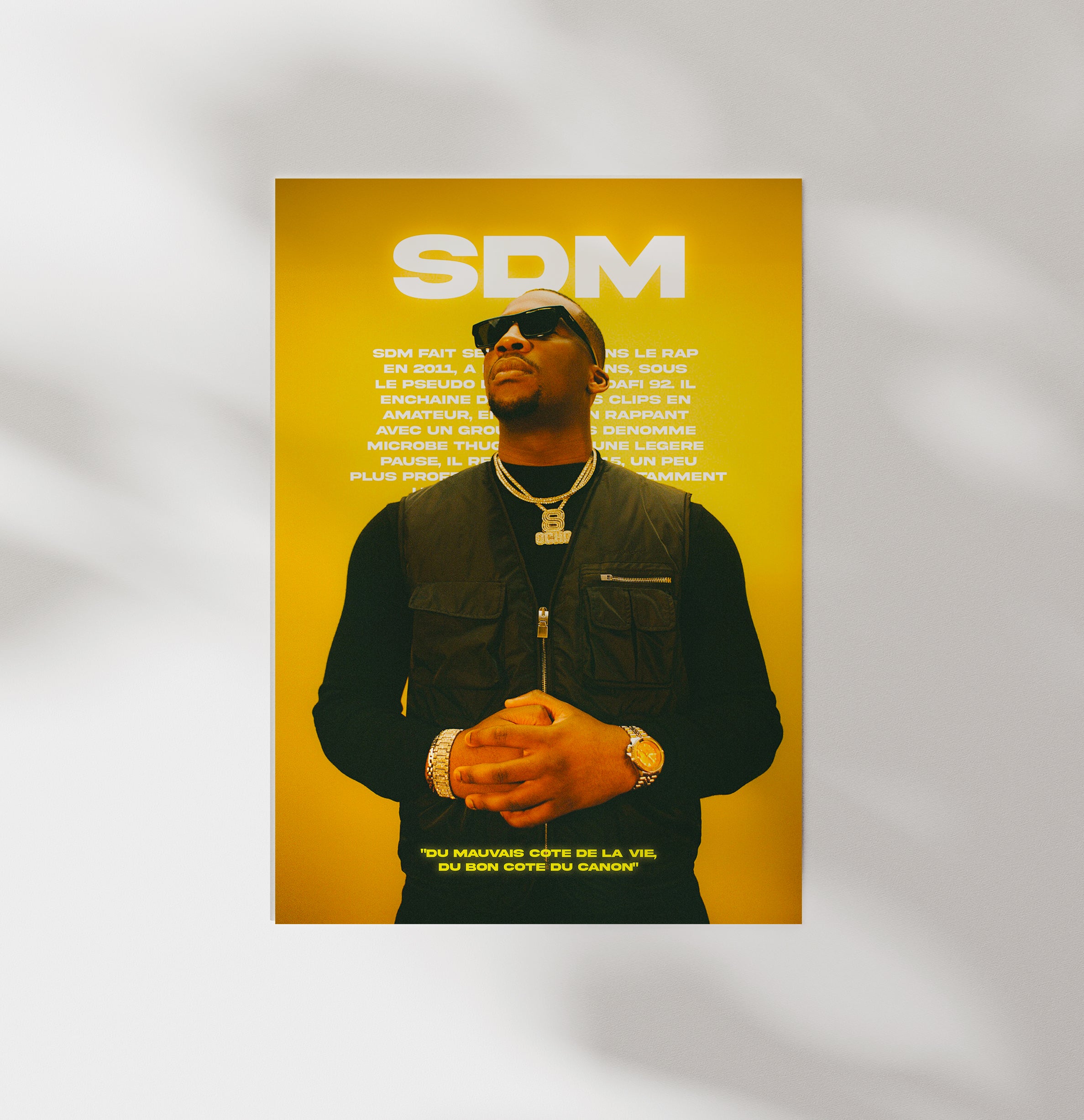 SDM poster