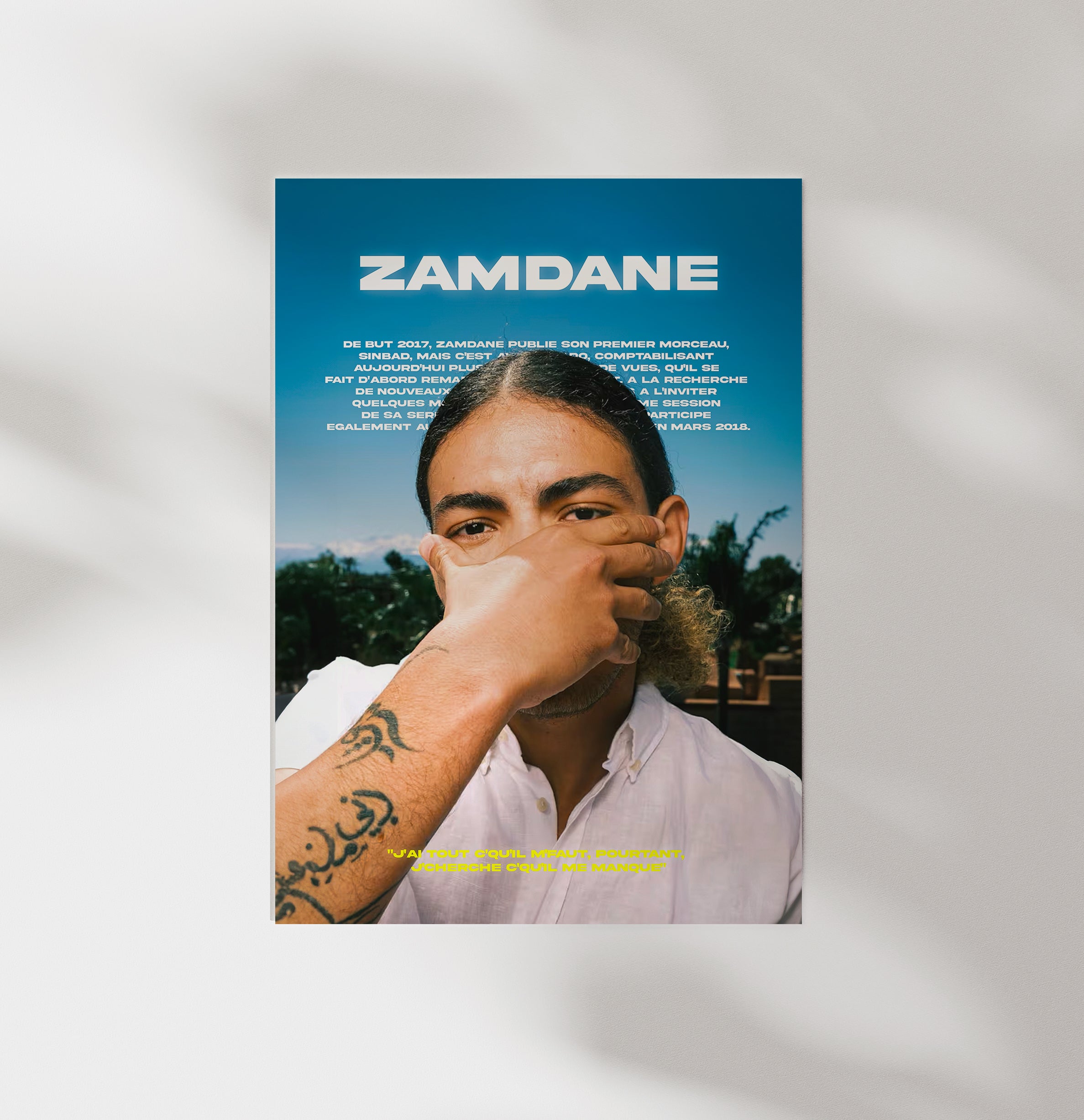 Poster Zamdane