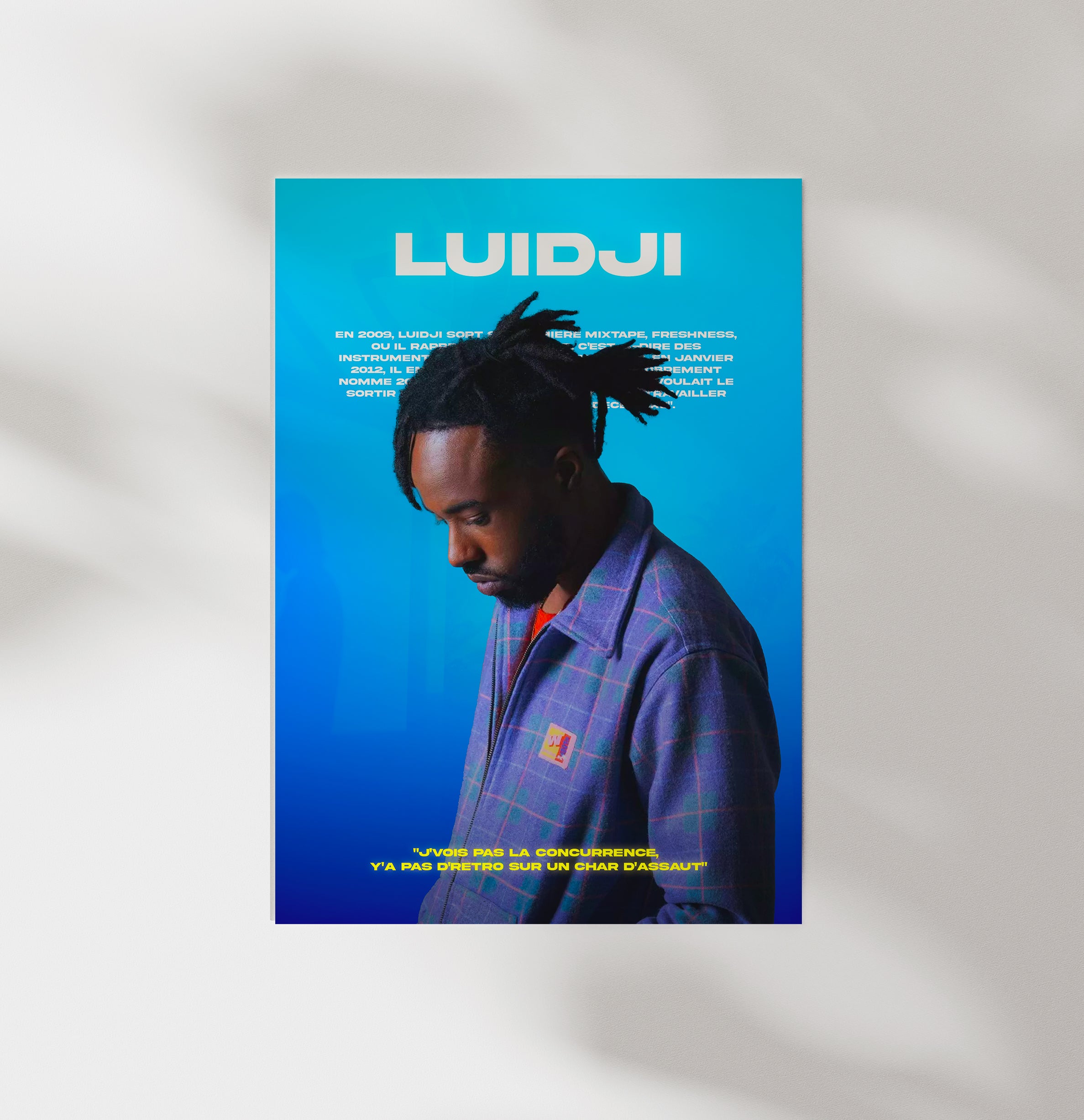 Poster Luidji