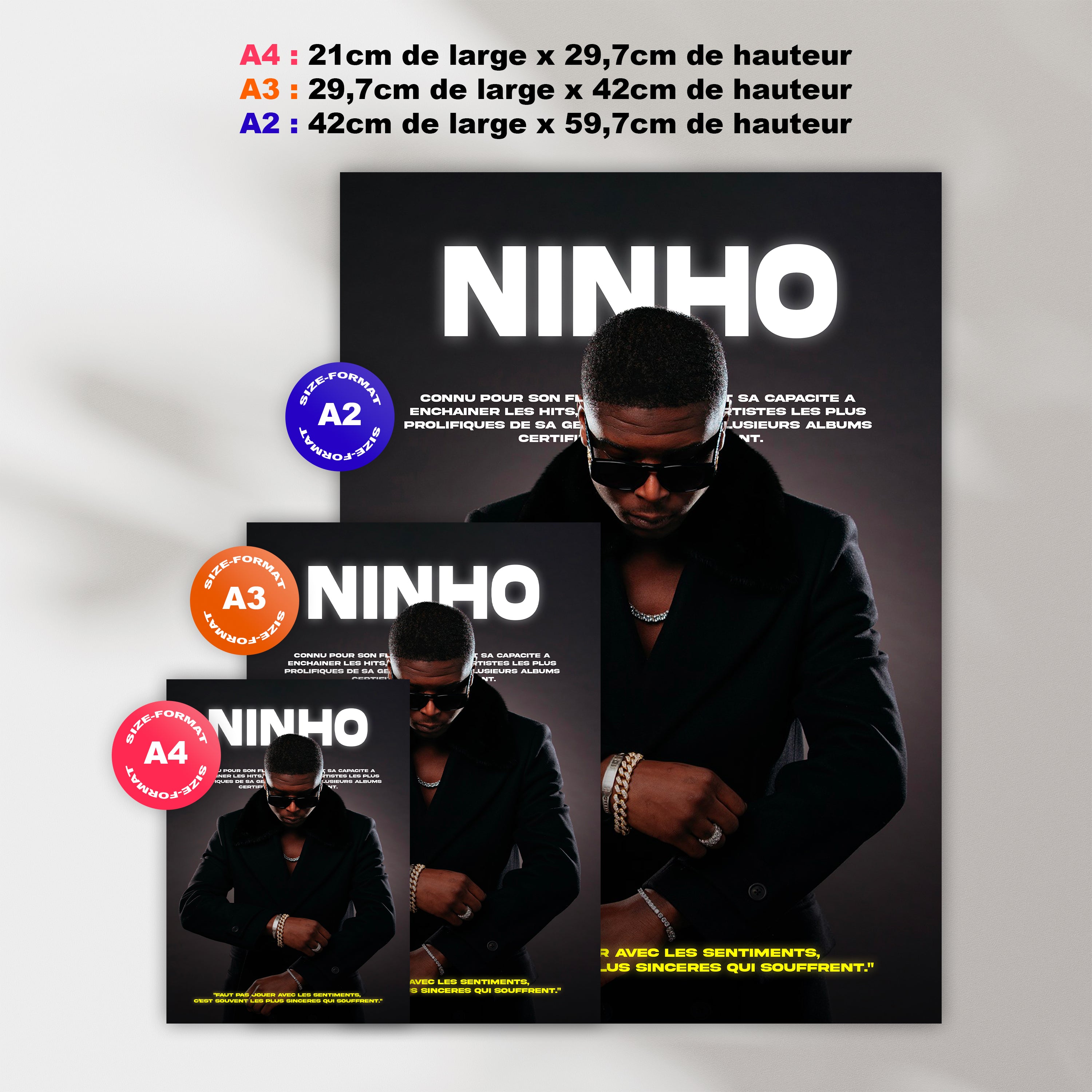 Poster Ninho