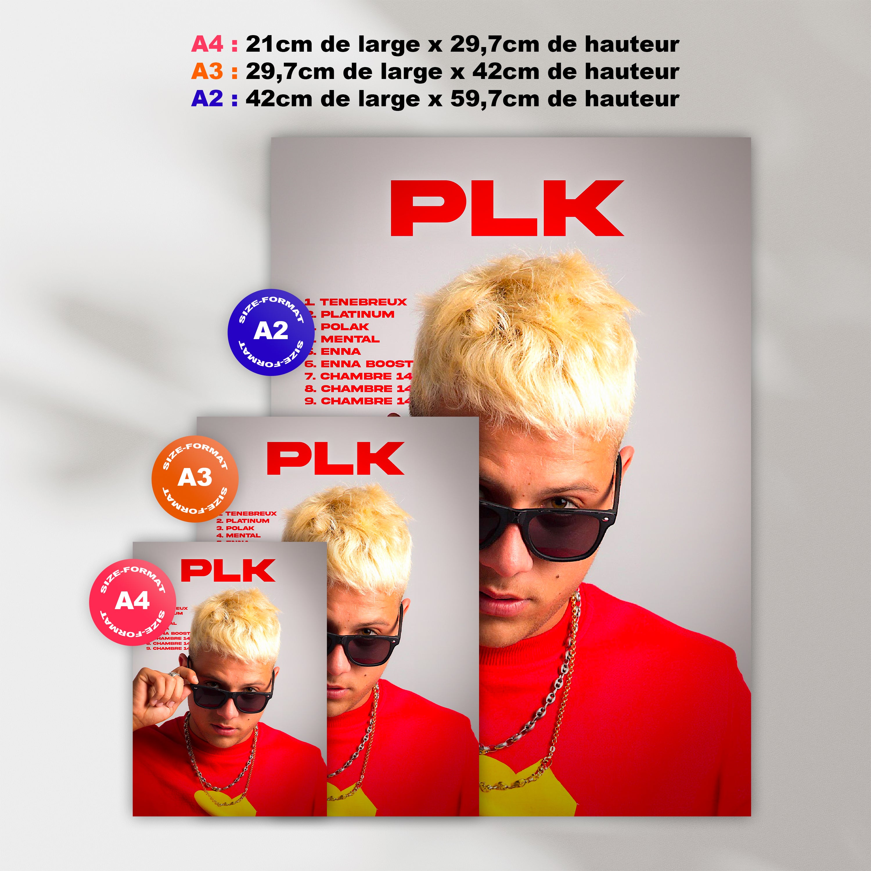 Poster PLK