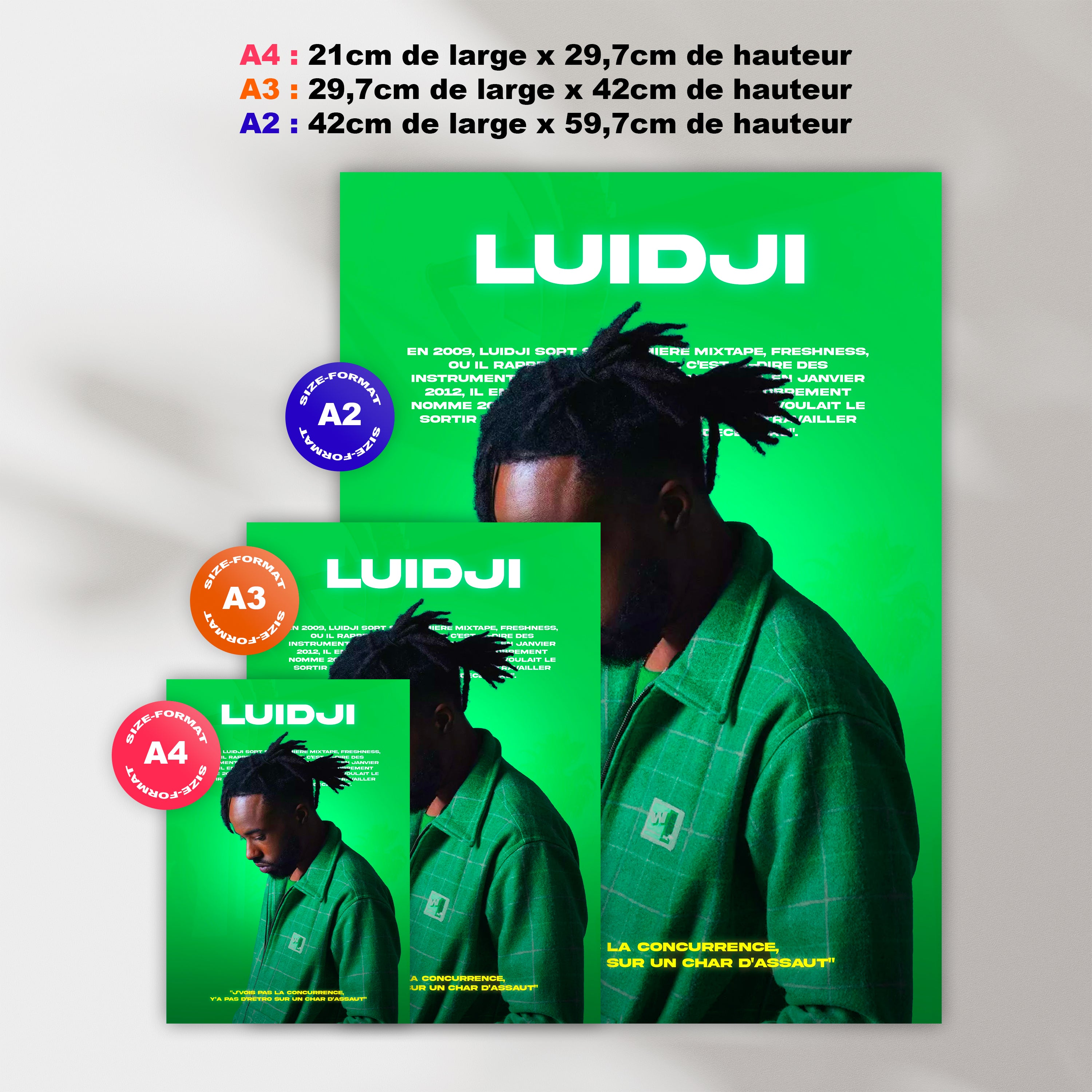 Poster Luidji