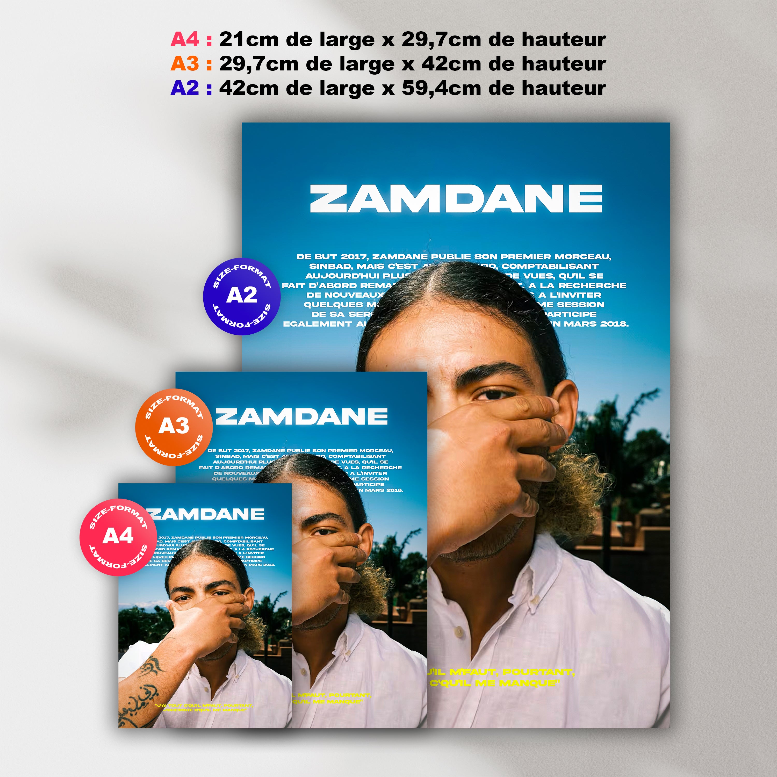 Poster Zamdane