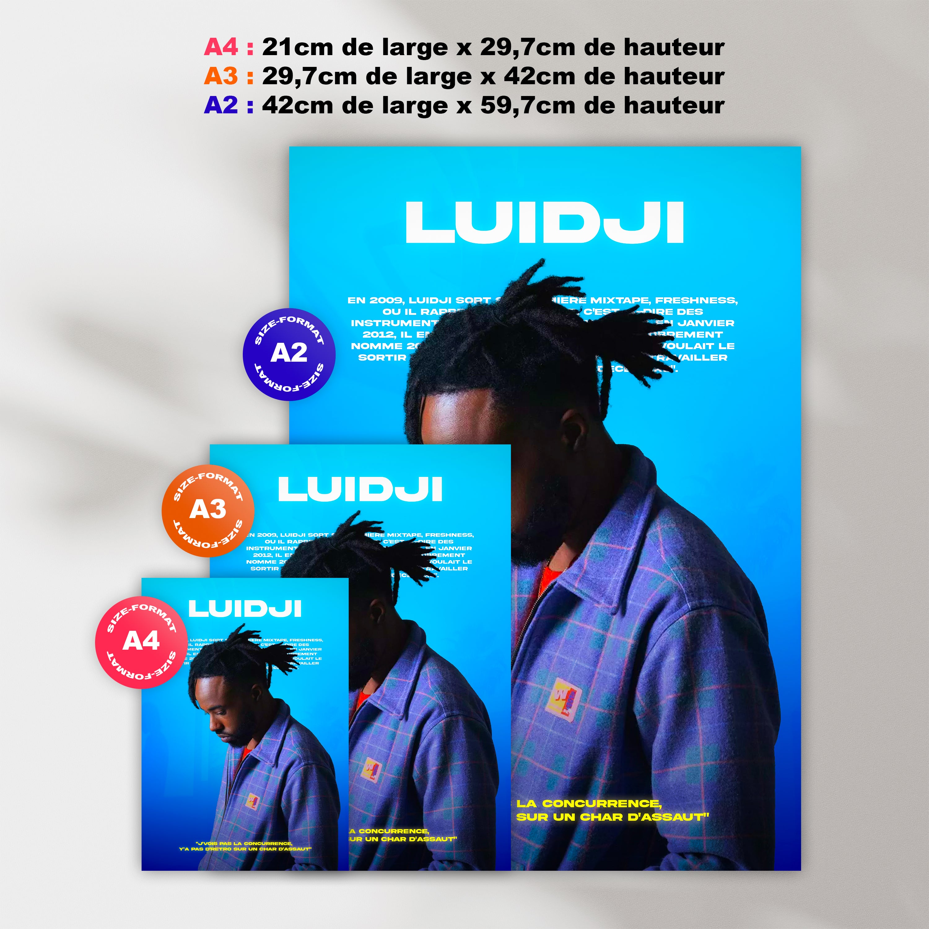 Poster Luidji