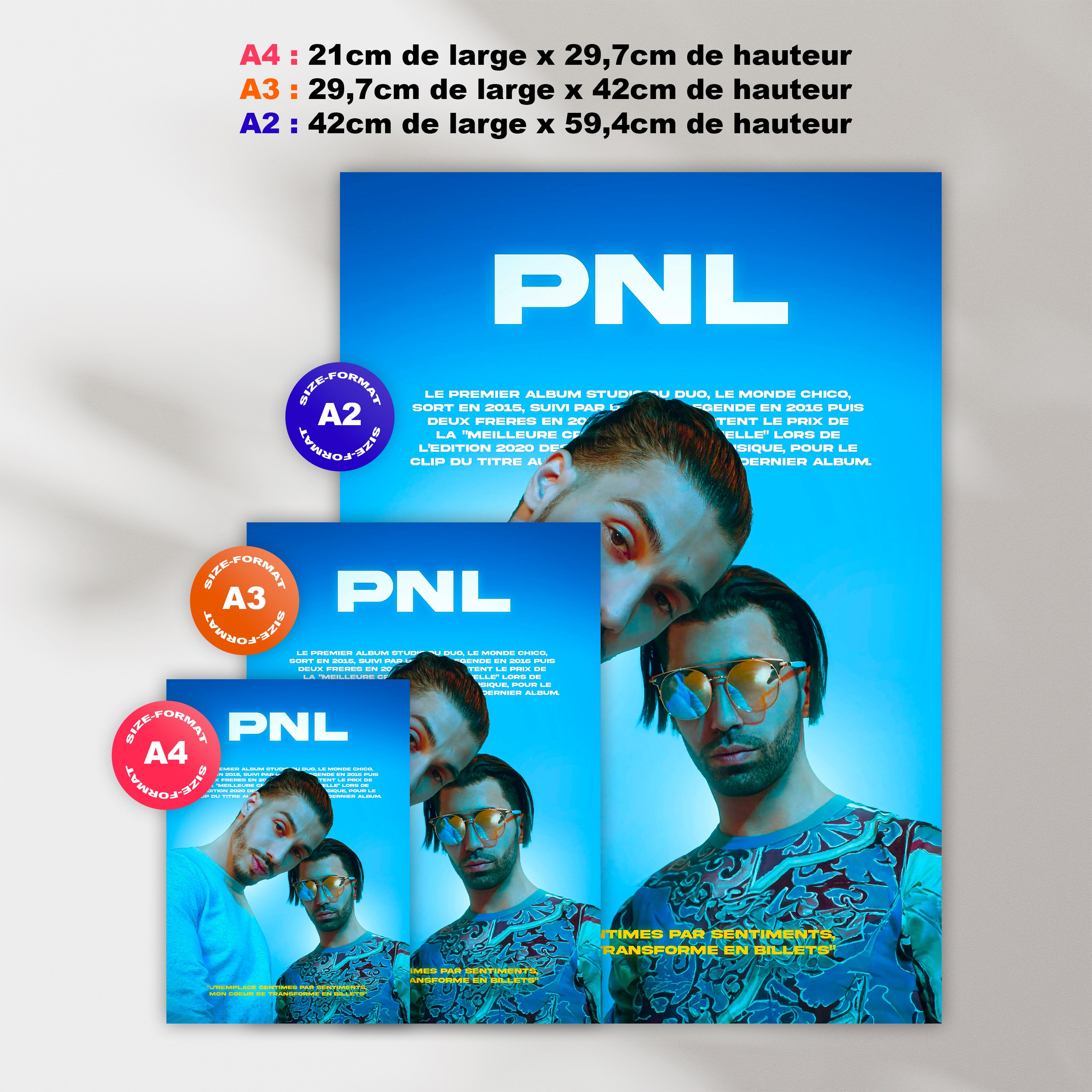 PNL poster