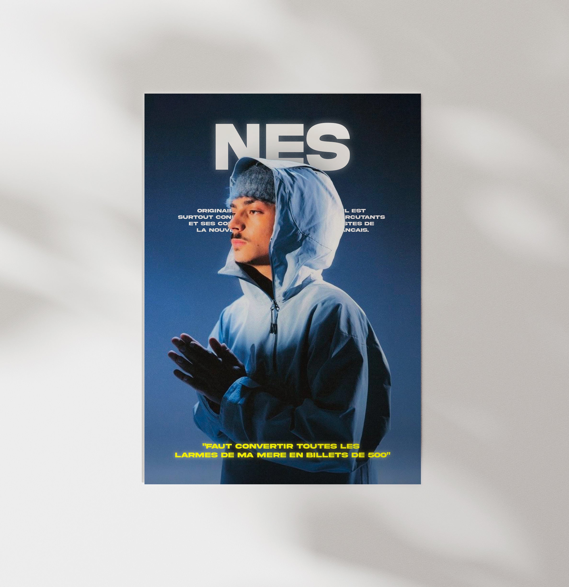 Poster NeS